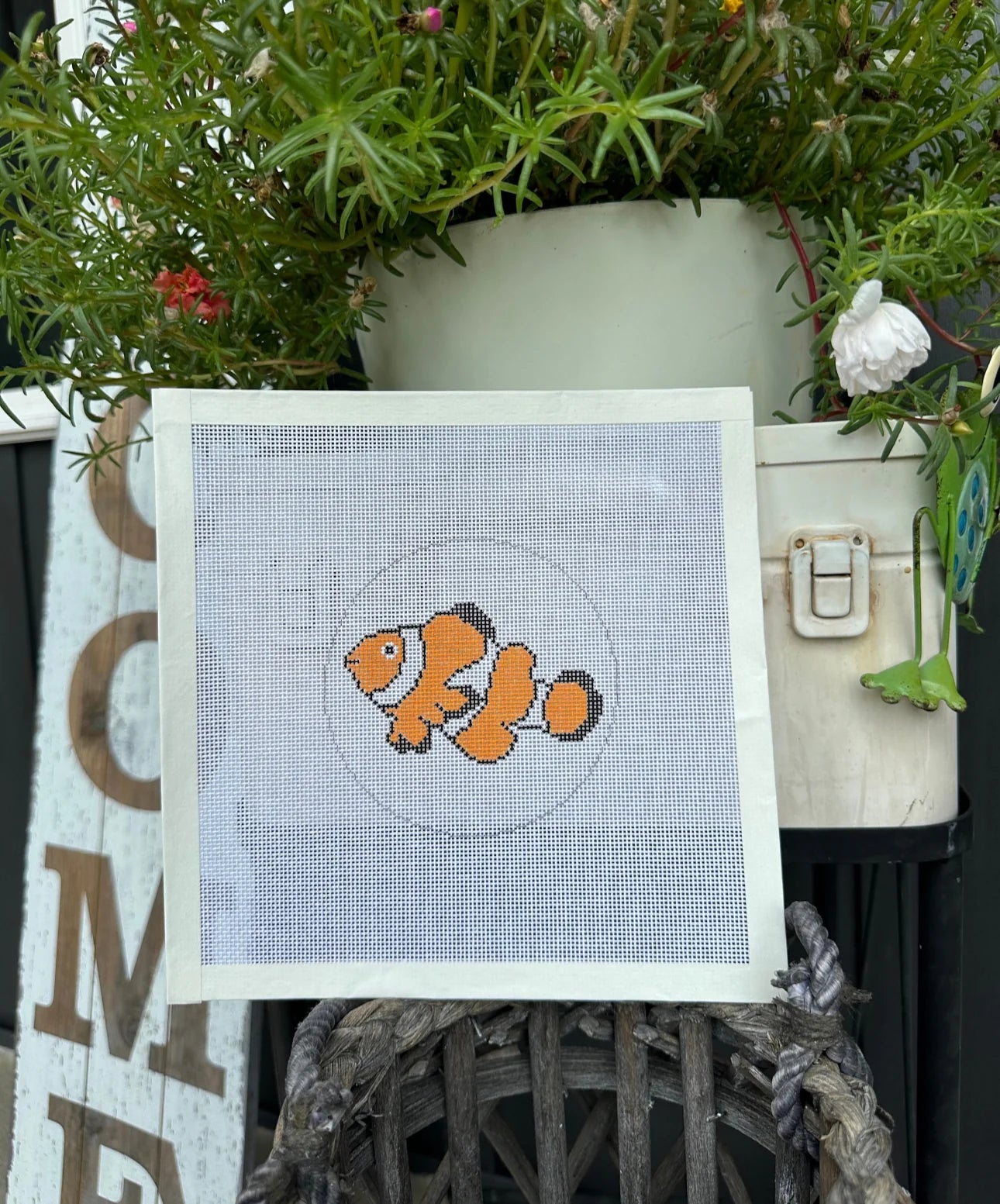 Orange Clown Fish Nemo
