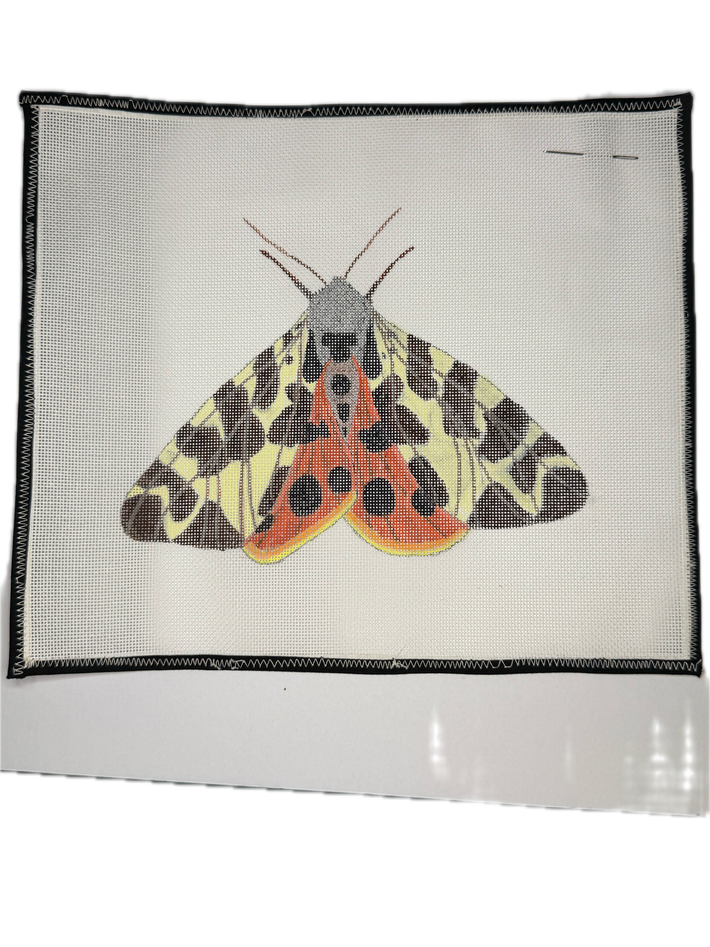 Tiger Moth