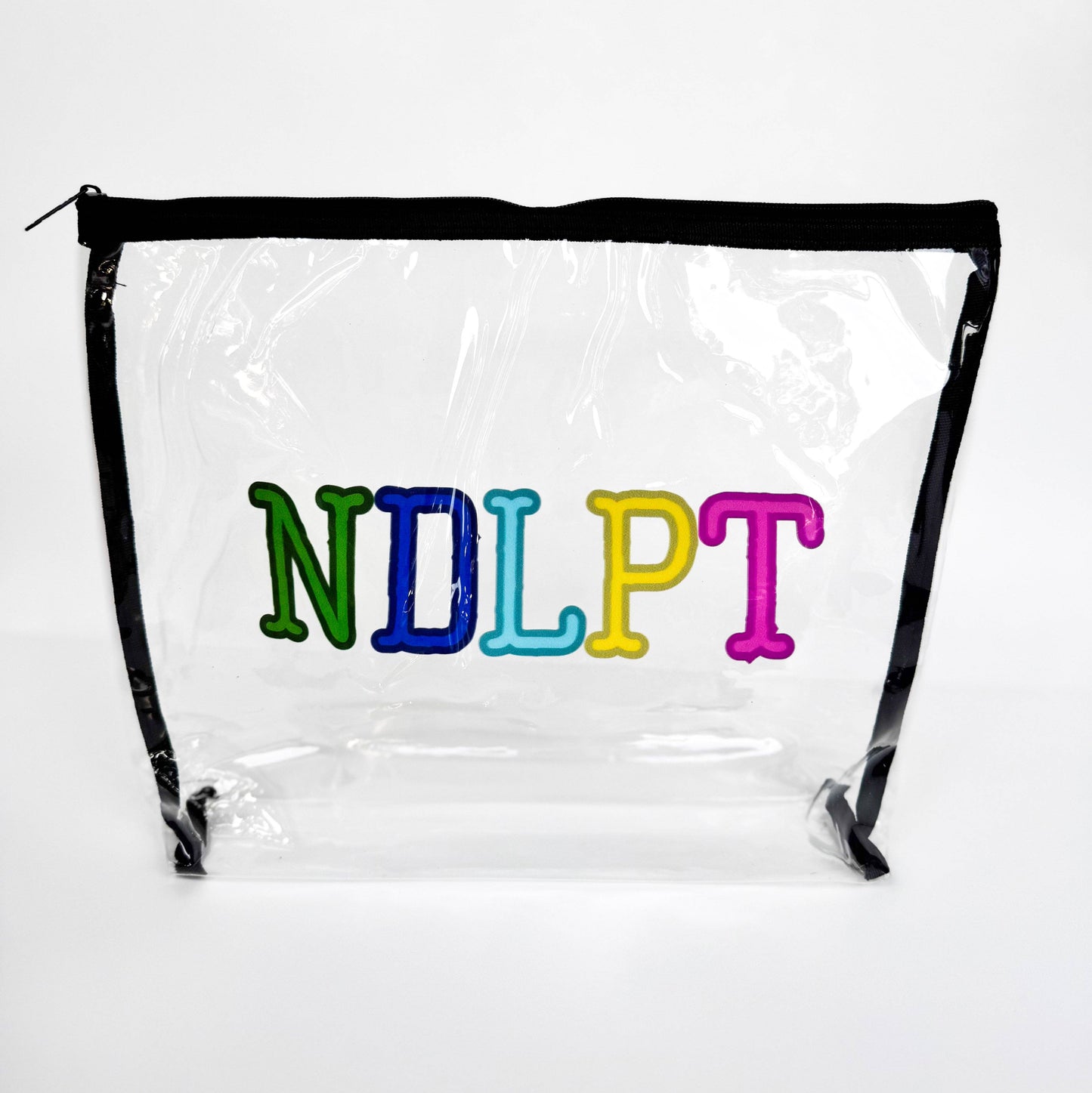 Colorful NDLPT Clear Project Bag | Small 9" x 12" Needlepoint WIP Bag
